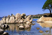 关于JackeyLove新星绝杀表现惊艳，德国队未来可期！的信息